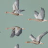 Elysian Geese 216610